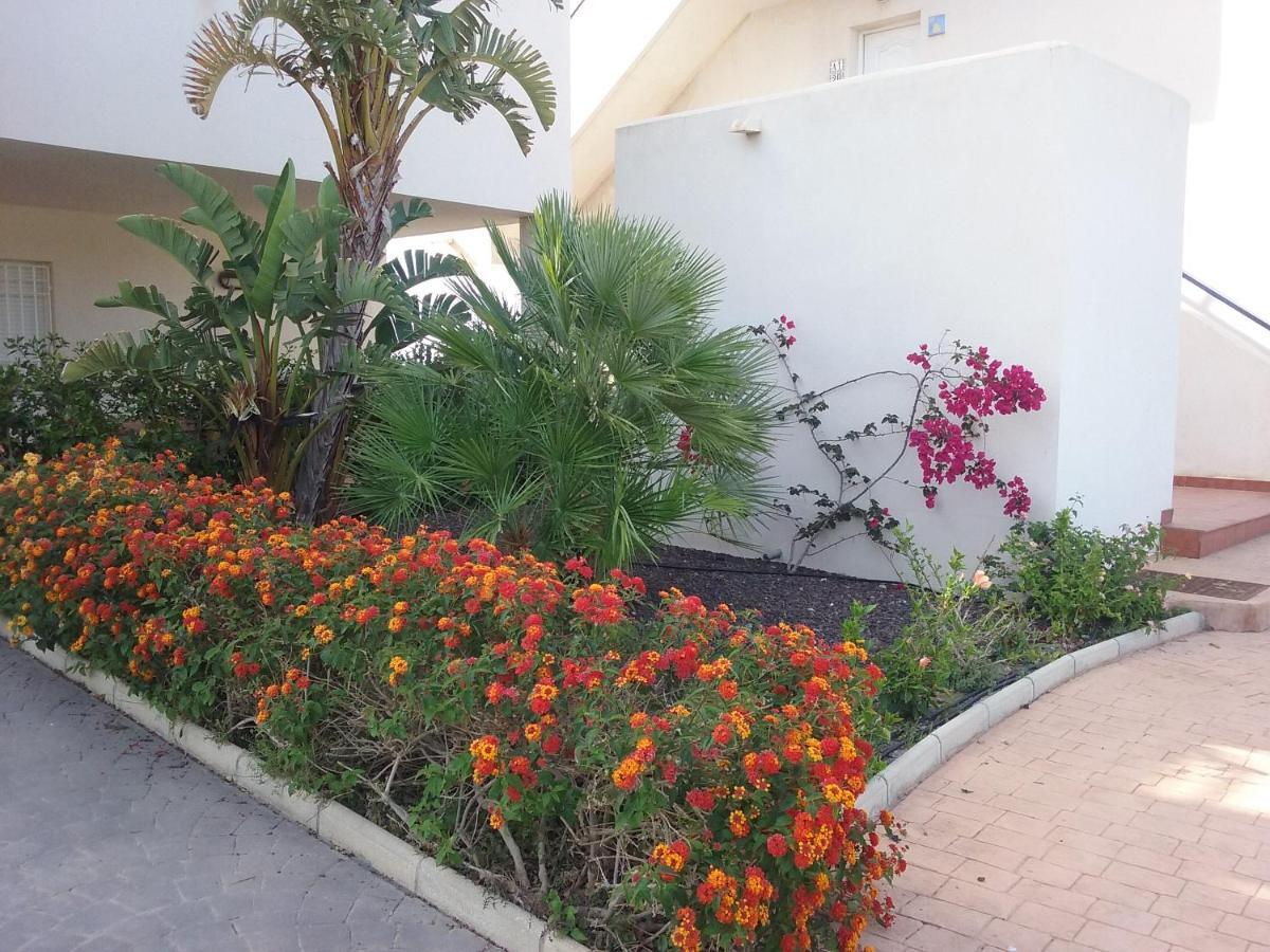 Apartamento Junto Al Mar En La Costa De Almeria El Pozo del Esparto Eksteriør bilde